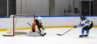 Bilder der Eishockey-Spiele der DEC Düsseldorf Devils