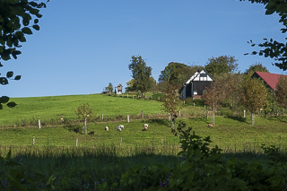 Wanderung von Bergisch Gladbach nach Odenthal