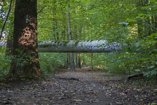 Wanderung von Bergisch Gladbach nach Odenthal