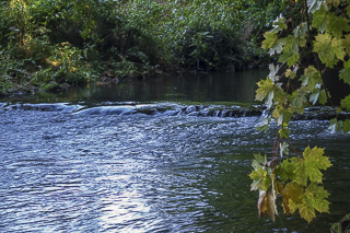 Wanderung von Bergisch Gladbach nach Odenthal