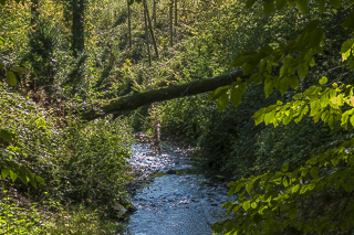 Wanderung von Bergisch Gladbach nach Odenthal