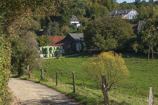 Wanderung von Bergisch Gladbach nach Odenthal