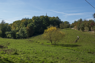 Wanderung von Bergisch Gladbach nach Odenthal