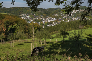 Wanderung rund um Overath