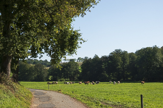 Wanderung rund um Overath