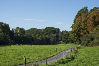Wanderung rund um Overath