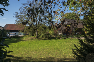 Wanderung rund um Overath