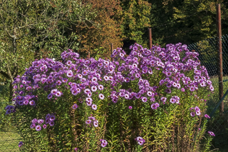 Wanderung rund um Overath