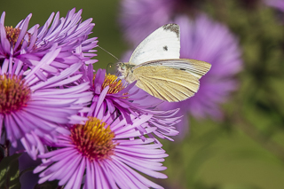 Wanderung rund um Overath