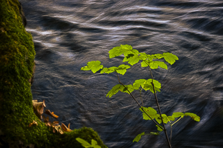 Wanderung rund um Overath