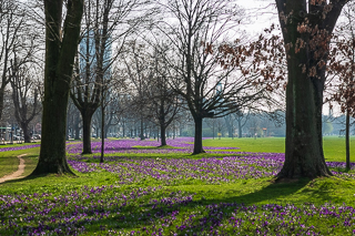 Das Blaue Band im Rheinpark in Düsseldorf