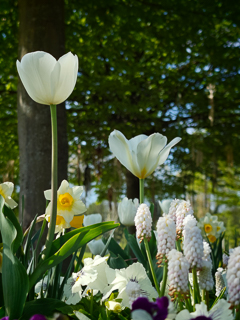 Ein Besuch auf der Landesgartenschau Neuss im April