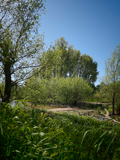 Impressionen vom Urdenbacher Altrhein und den nahegelegenen Rheinauen