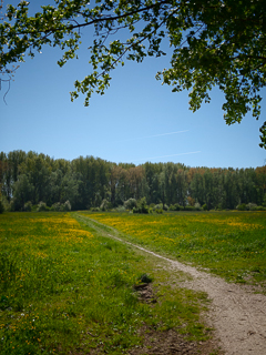 Impressionen vom Urdenbacher Altrhein und den nahegelegenen Rheinauen