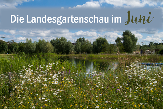 Die Landesgartenschau Neuss im Juni