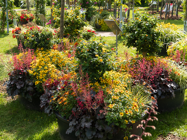 Die Landesgartenschau Neuss im Juni
