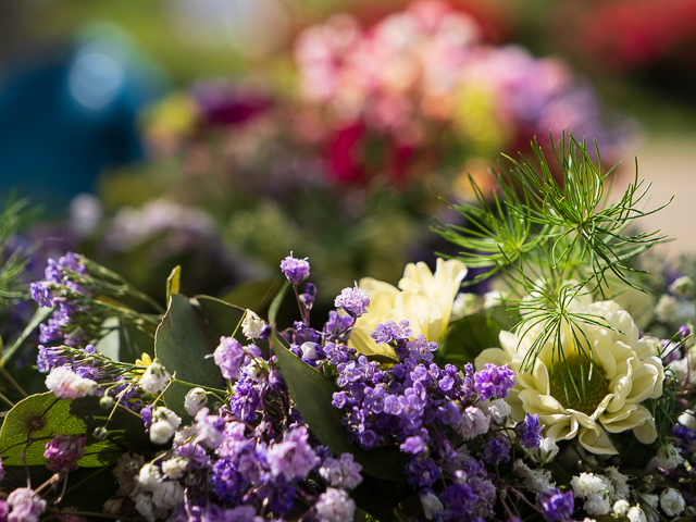 Die Landesgartenschau Neuss im Juni