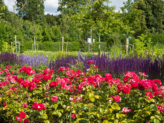 Die Landesgartenschau Neuss im Juni