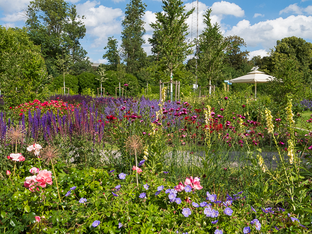 Die Landesgartenschau Neuss im Juni
