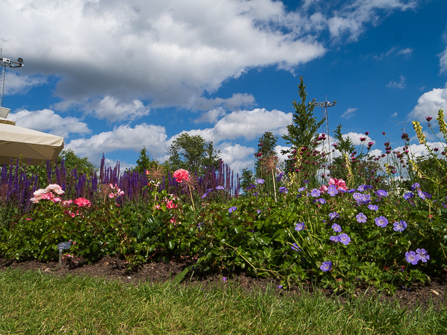 Die Landesgartenschau Neuss im Juni