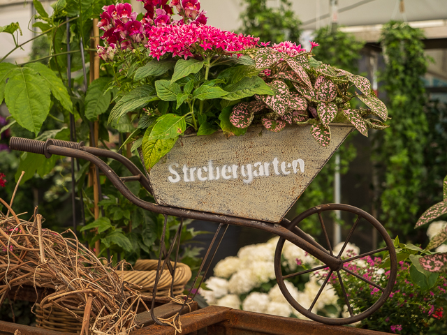 Die Landesgartenschau Neuss im Juni