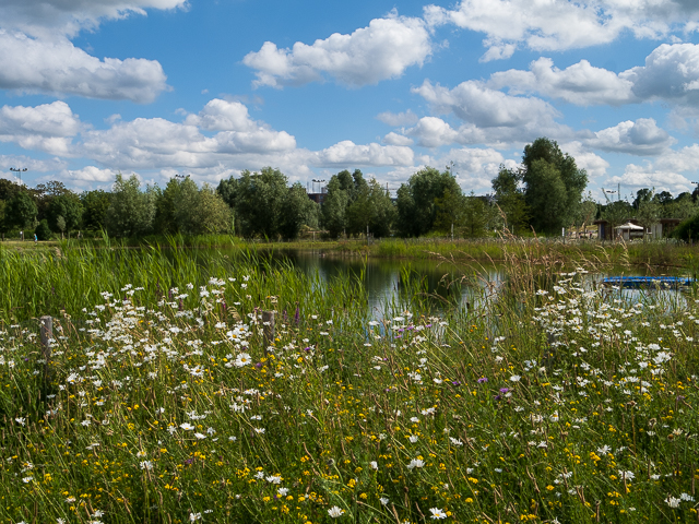 Die Landesgartenschau Neuss im Juni