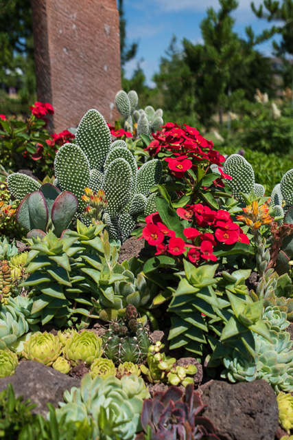 Die Landesgartenschau Neuss im Juli