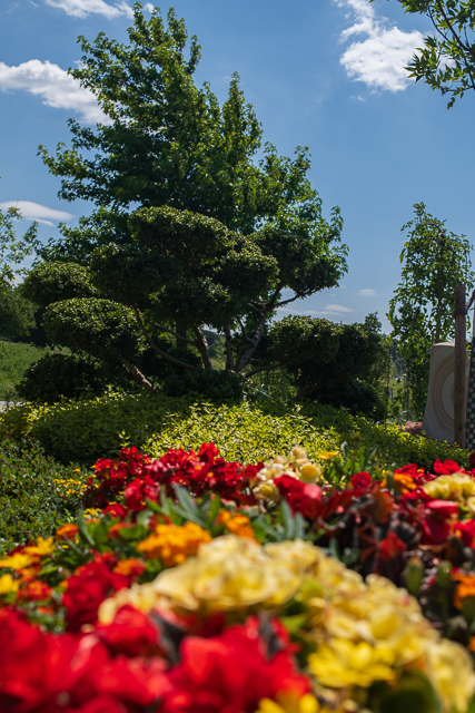 Die Landesgartenschau Neuss im Juli