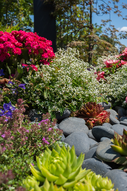 Die Landesgartenschau Neuss im Juli