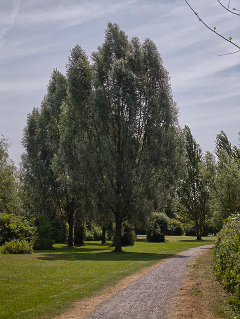 Urlaubsidylle im Ruhrgebiet: Ruhrauen in Mülheim