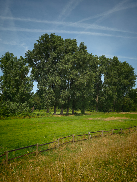 Urlaubsidylle im Ruhrgebiet: Ruhrauen in Mülheim