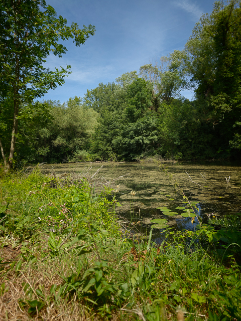 Urlaubsidylle im Ruhrgebiet: Ruhrauen in Mülheim