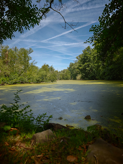 Urlaubsidylle im Ruhrgebiet: Ruhrauen in Mülheim