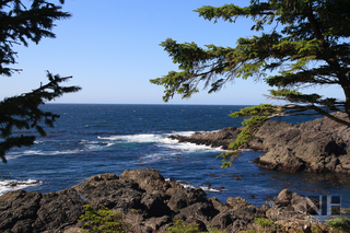 Wild Pacific Trail, Blick auf den Pazifik auf Vancouver Island, Kanada