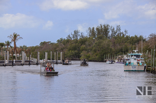 Everglades bei Naples, Florida, USA