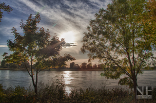 Rheinauen in Monheim (bei Düsseldorf)