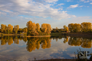 Herbst am Greisbachsee in Monheim (bei Düsseldorf)