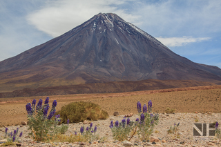 Vulkan Licancabur (Höhe 5.920 m) bei San Pedro de Atacama, Region Antofagasta, Chile