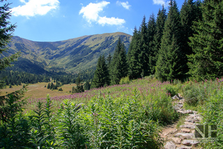 Hohe Tatra Nationalpark, Polen